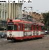 (C)M.Lehmann