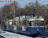 (C)F.Hohmann